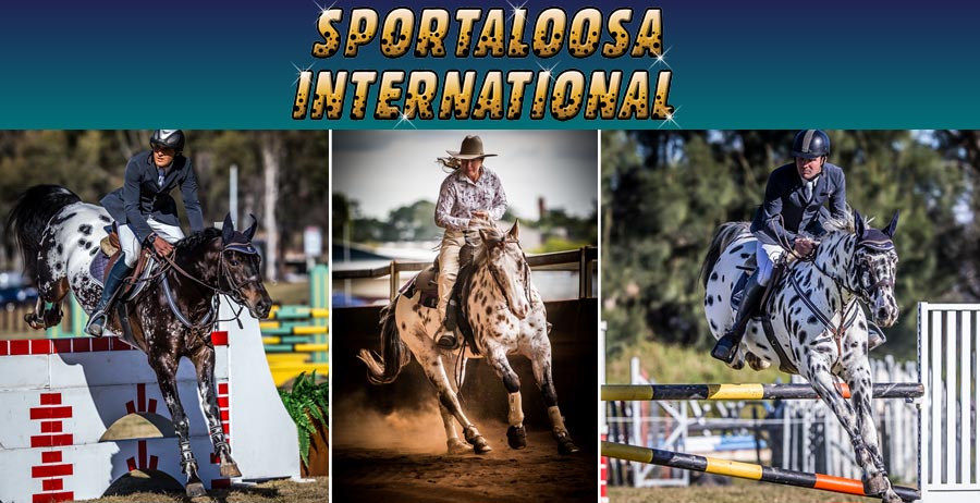 Sportaloosa International